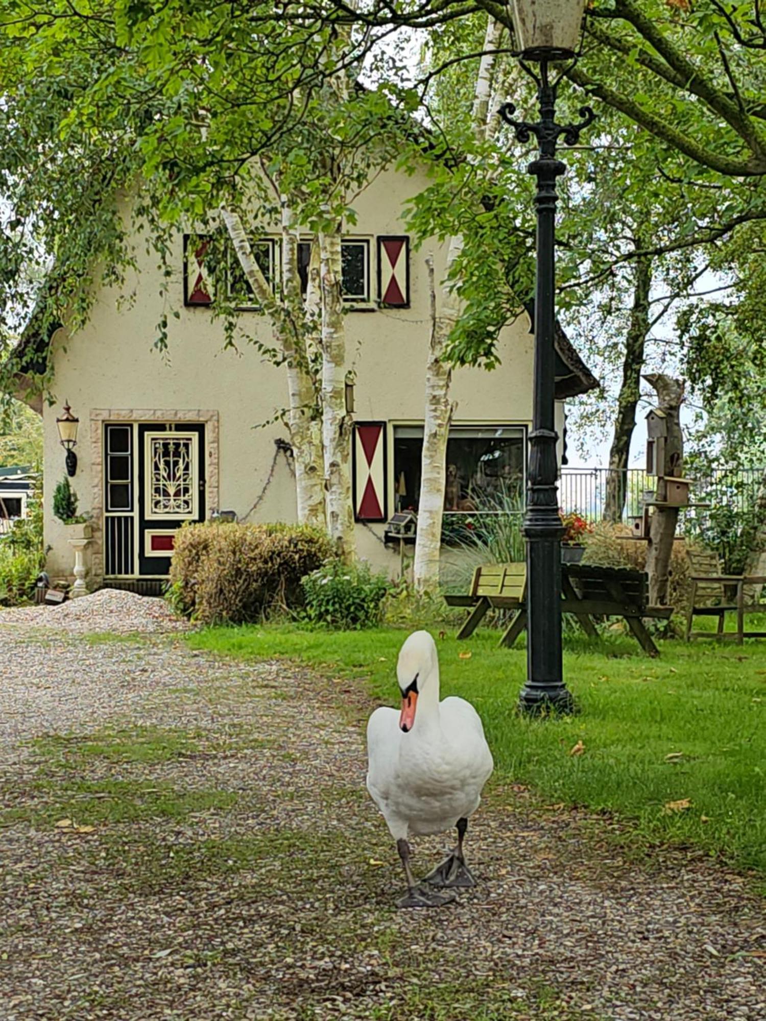 B&B Zusenzomer Oostwoud Экстерьер фото